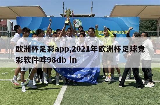 欧洲杯足彩app,2021年欧洲杯足球竞彩软件哗98db in